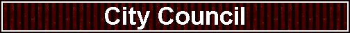 City Council