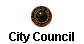 City Council
